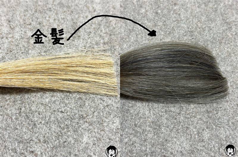クレオディーテ オイルジェリーカラートリートメント体験　グレージュに染めた色と金髪の比較