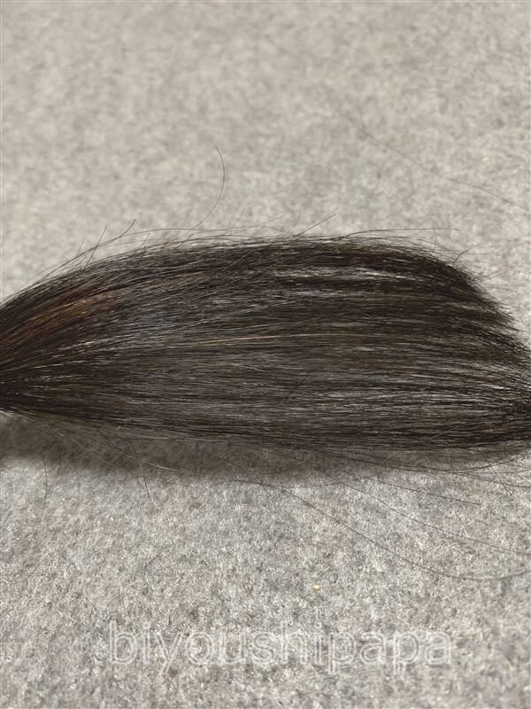 ブローネワンプッシュカラー４ライトブラウンを黒髪+白髪10％に染めた髪色