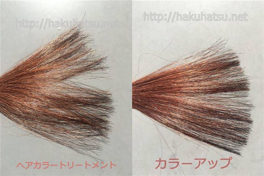髪萌カラーアップと髪萌カラートリートメントの比較