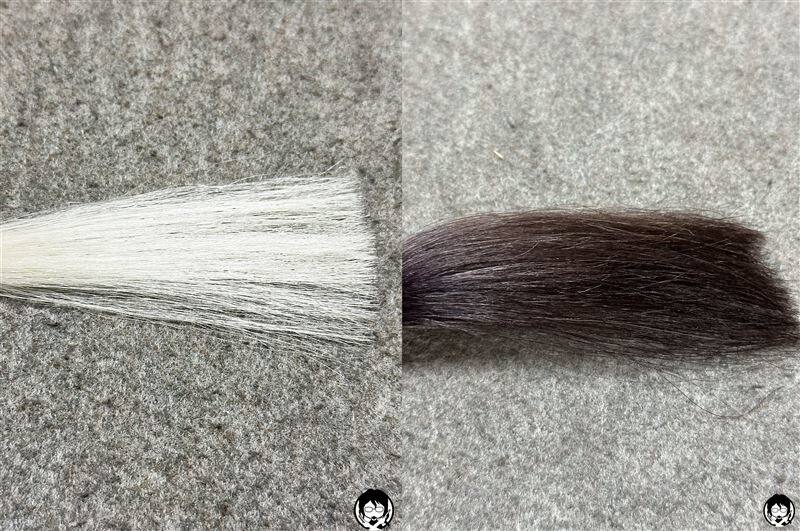 ビーリスエアリーカラーリングフォーム　ダークブラウンを白髪に10分染めた色