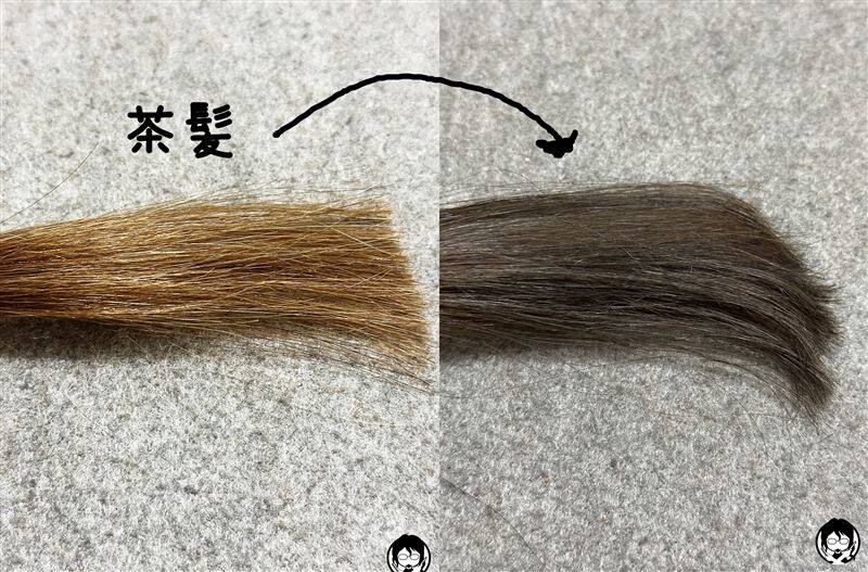 クレオディーテ オイルジェリーカラートリートメント体験　グレージュに染めた色と茶髪の比較