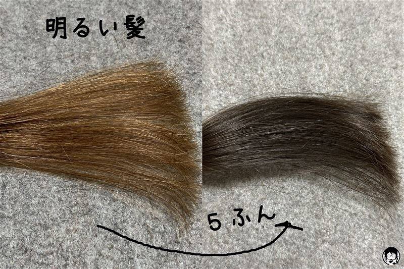 clayence(クレイエンス）クレイエンスクレイスパ　カラートリートメント　アッシュブラウンを明るい髪に塗って5分後の髪色変化