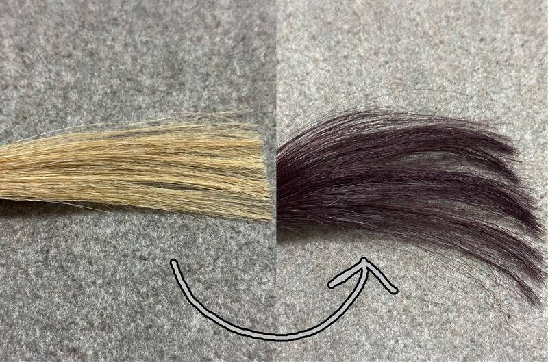 サイオスイルーセントチェリーピンク　金髪を染めた色の解説