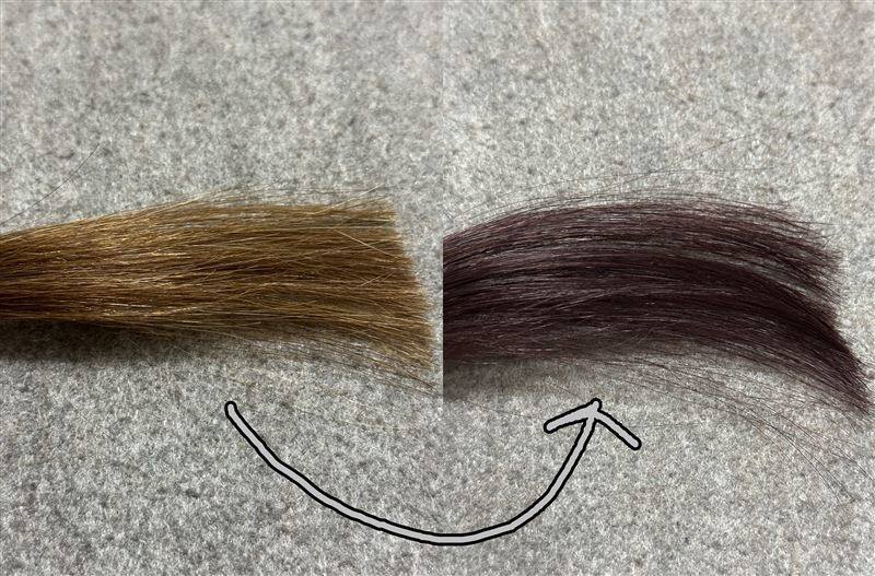 サイオスイルーセントチェリーピンク　茶髪を染めた色の解説