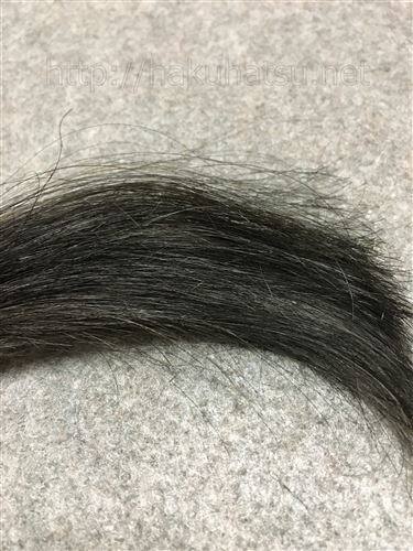 サイオス カラージェニック A02 ブルージュアッシュを黒髪+白髪10％に染めた髪色