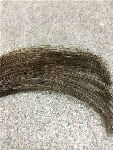 サイオス カラージェニック G01 コットングレージュを黒髪+白髪10％に染めた髪色