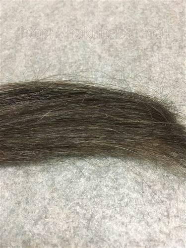サイオス カラージェニック M02 マットアッシュを黒髪+白髪10％に染めた色