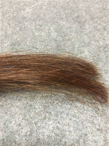サイオス カラージェニック N03 コーラルベージュを黒髪+白髪10％に染めた髪色