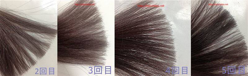 利尻カラーシャンプーダークブラウンを２回から10回染めた髪色の比較を拡大