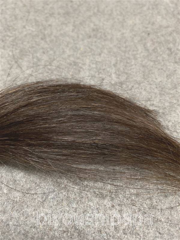 ブローネ ワンプッシュカラー 3NB ナチュラリーシフォンベージュを黒髪+白髪10％に染めた髪色
