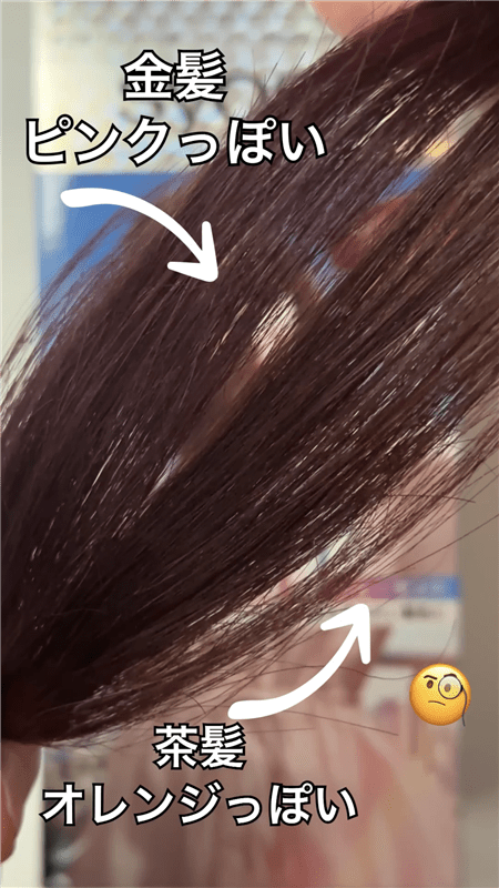 サイオスイルーセントチェリーピンク　茶髪・金髪を染めた色の比較の解説