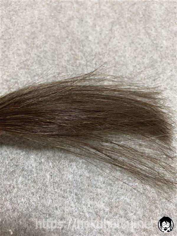 アンナドンナ ドルチェスパイス ヘアカラー(白髪用)ベージュを黒髪+白髪10％に染めた髪色