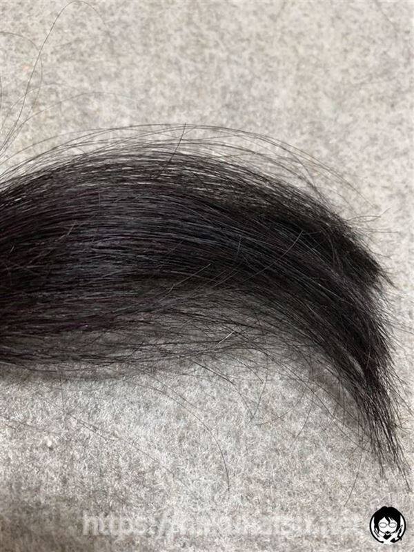 アンナドンナ ドルチェスパイス ヘアカラー(白髪用)パープルを黒髪+白髪10％に染めた髪色