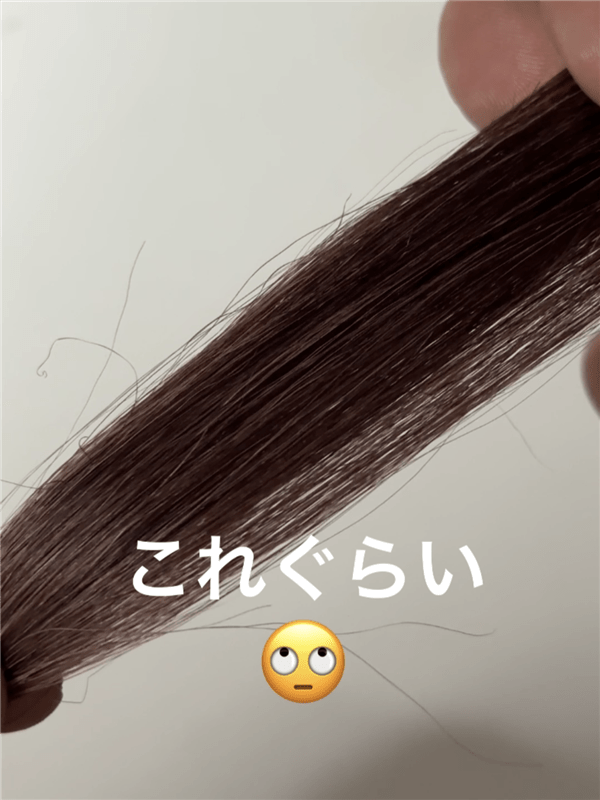 RISHIRIA Furel（リシリアフレル）カラーシャンプー 体験レビュー3回使用後の乾いた髪