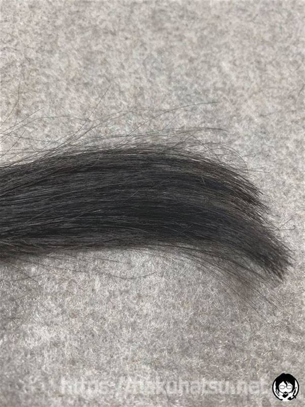 ルシード ワンプッシュケアカラーナチュラルブラックで黒髪+白髪10％を染めた髪色