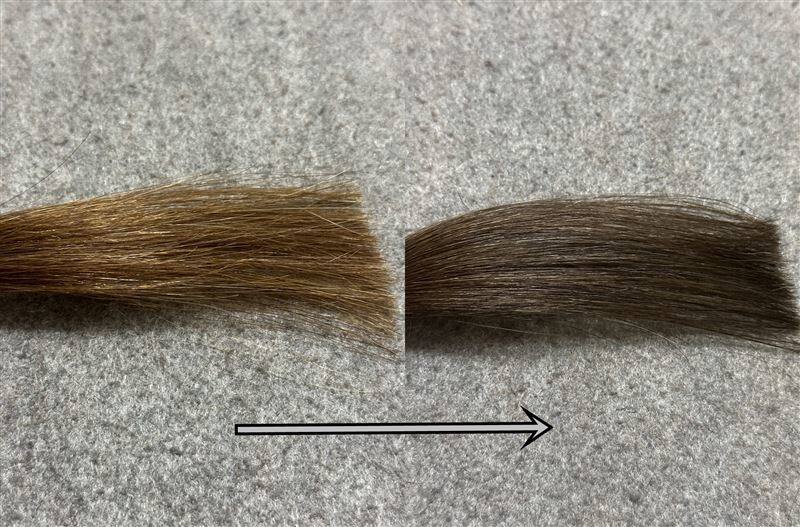 サイオスイルーセントヌードグレージュ茶髪を染めた色の比較
