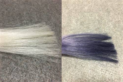 サイオス カラージェニック　A01 ヌーディアッシュと白髪の色の比較