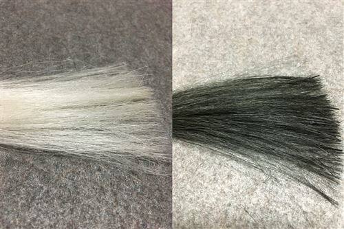 サイオス カラージェニック A02 ブルージュアッシュと白髪の色の比較