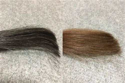 サイオス カラージェニック N01 ルーセントベージュと黒髪+白髪10％の色の比較