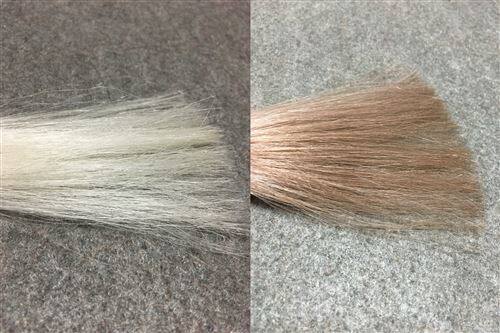 サイオス カラージェニック N01 ルーセントベージュと白髪の色の比較