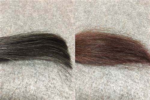 サイオス カラージェニック  P01 クリスタルピンクと黒髪+白髪10％の色の比較