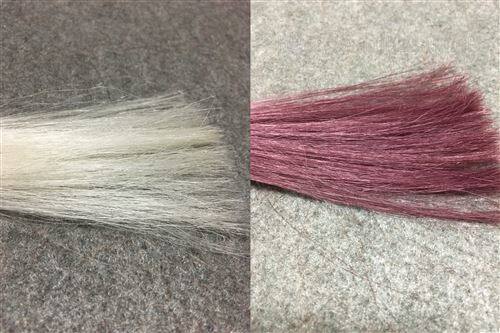 サイオス カラージェニック  P01 クリスタルピンクと白髪の色の比較