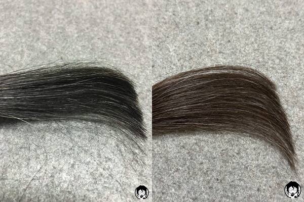 サイオス イルーセントミルキーヘアカラー ヌードグレージュと黒髪+白髪10％の色の比較
