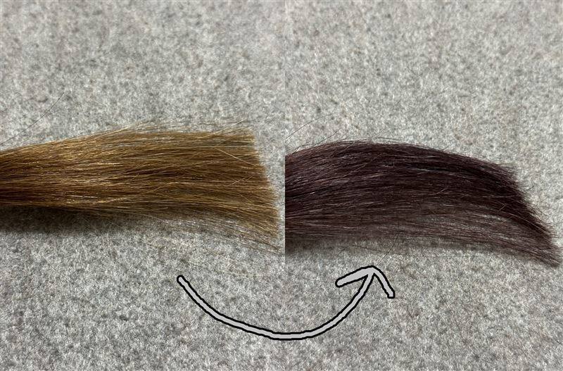 サイオスイルートワイライトバーガンディ　茶髪を染めた色の解説